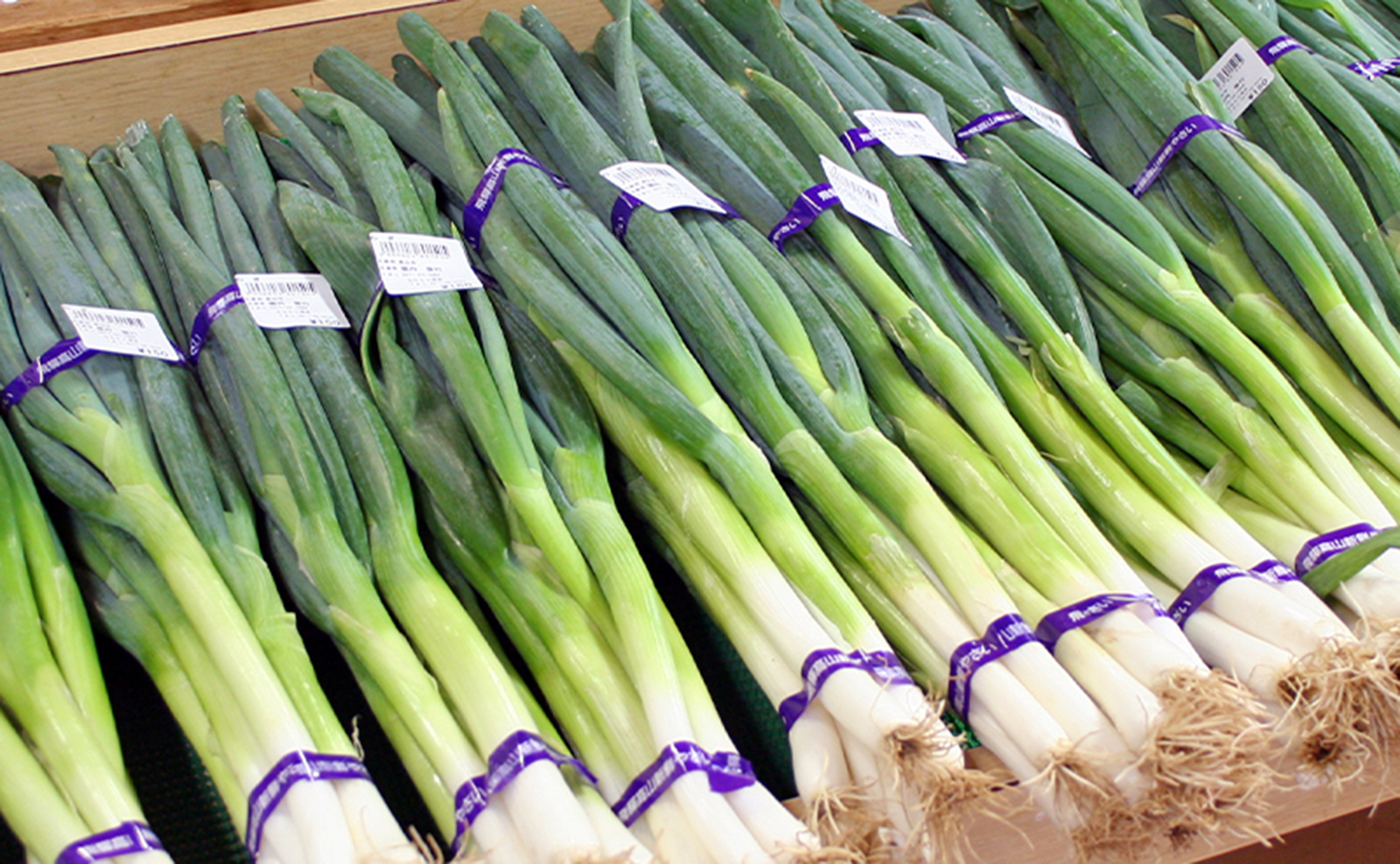 野菜2