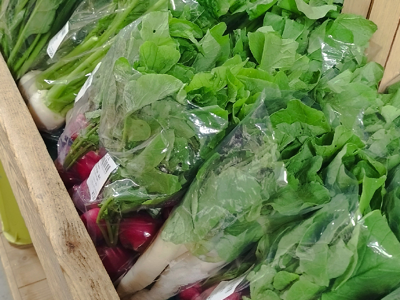 朝採れの清見野菜が並ぶ地元野菜直売所