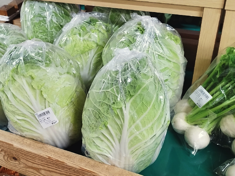 季節の山菜と野菜