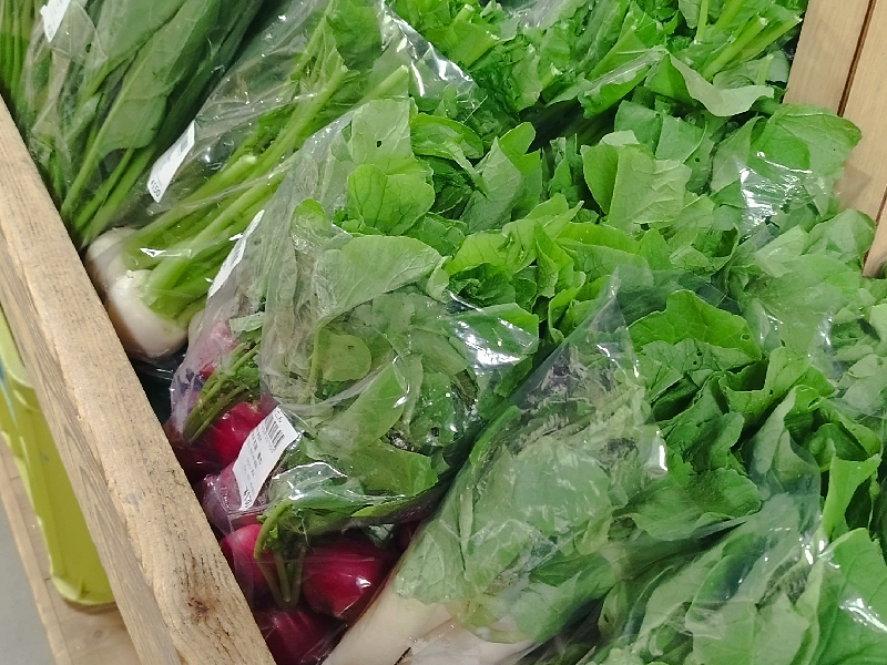 野菜を育てる地元農家